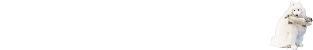 九重 悠々亭