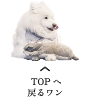TOPへ戻るワン
