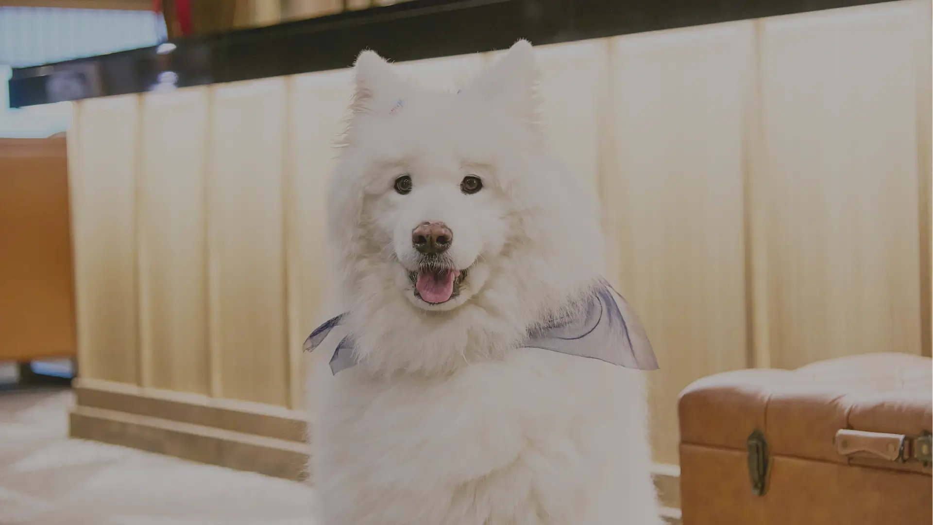 悠々亭イメージ5